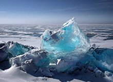 古斯塔沃告别上海海港：这段经历我将永远铭记于心